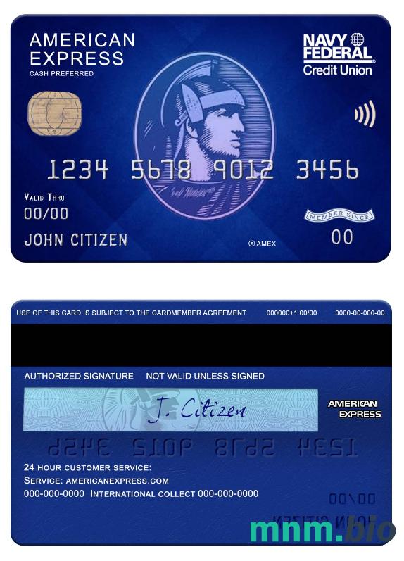USA Navy Federal Union bank amex blue cash preferred